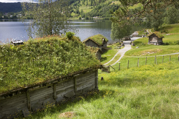 Bilde fra ein plass i Sunnfjord