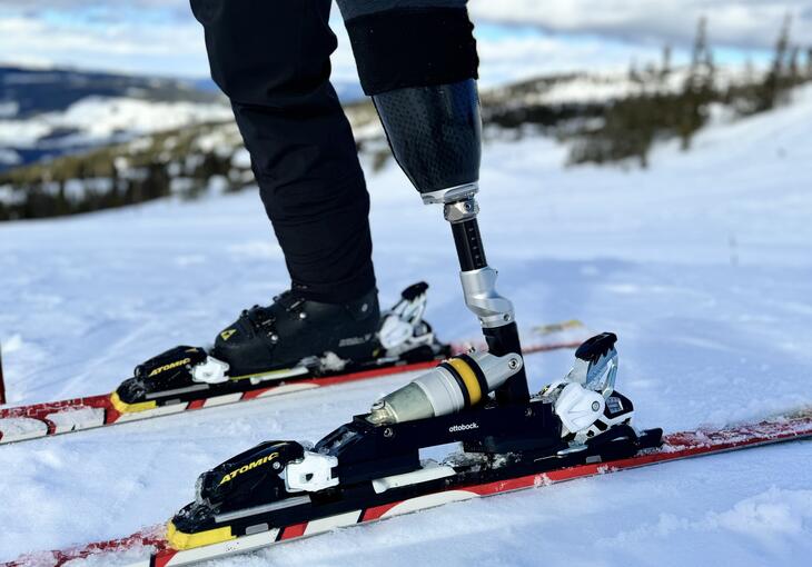Bilde av slalomprotese med fjelllandskap i bakgrunn